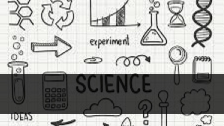 Mpumalanga G20 Provincial Indaba